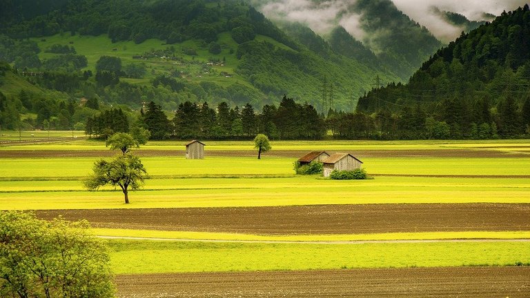 Žene i uloga izgradnje ruralne zajednice