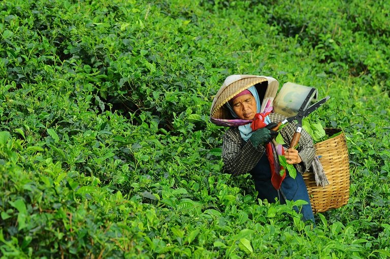 年轻人，你就应该摸鱼？的配图