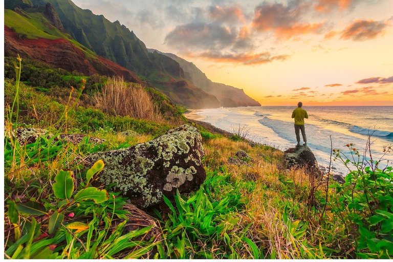 Hawaii Pacific Coastline