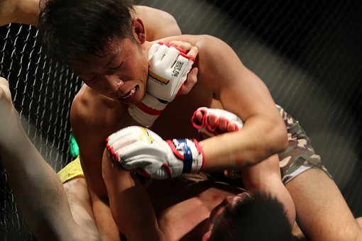 mma-1342659_1920_BroSPN.jpg