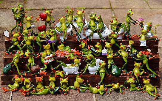 Frogs, Many, Frog Assembly, Cute