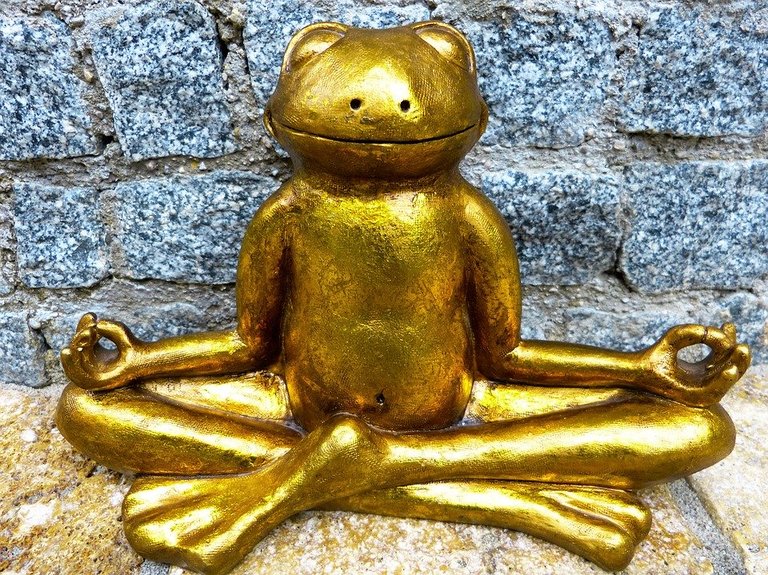 meditating frog