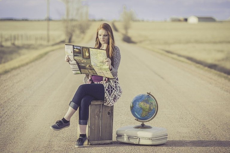 Globe Trotter, Traveller, Globe, Map, Journey, Planning