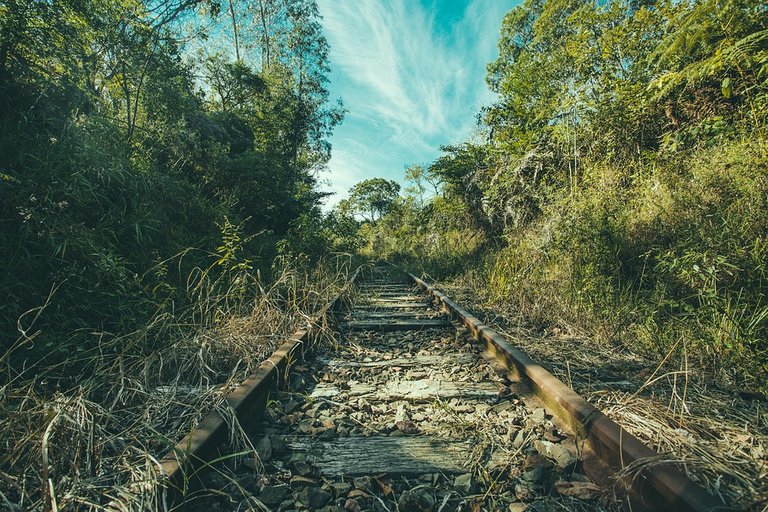 Overgrown Tracks