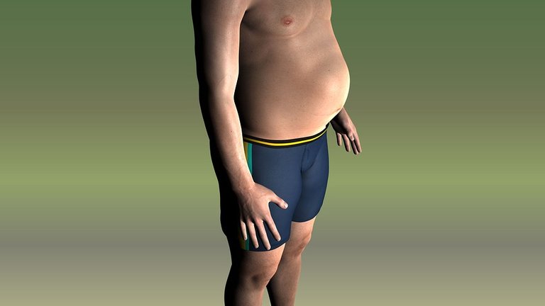 Man, Belly, Thick, Obesity, Man Tummy, Close Up
