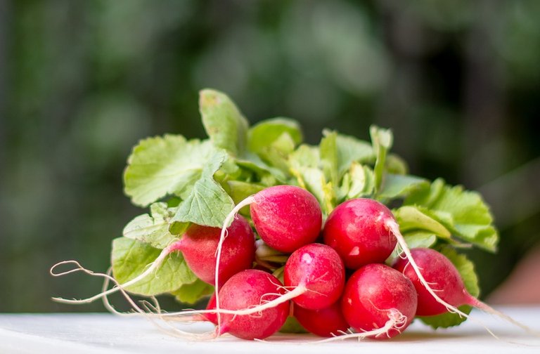 Radish, Radishes, Blur, Bokeh, Red, Green, Root