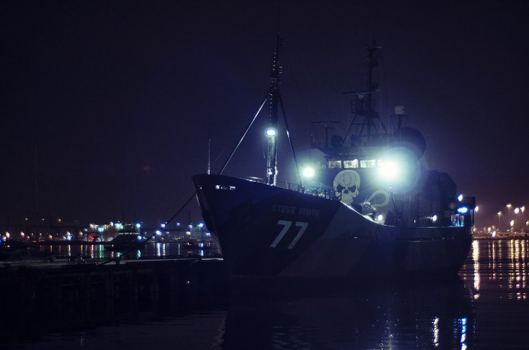 The Sea Shepherd Conservation Society's vessel Steve Irwin.