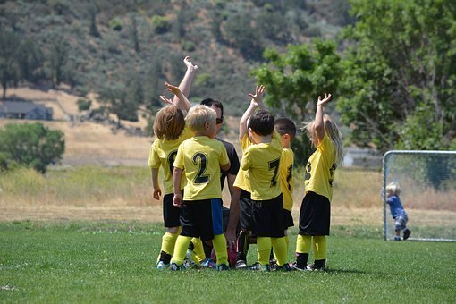 Team, Grass, Cheer, Field, Game, Sport