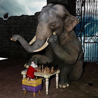 Play Chess, Elephant, Mouse, Snail