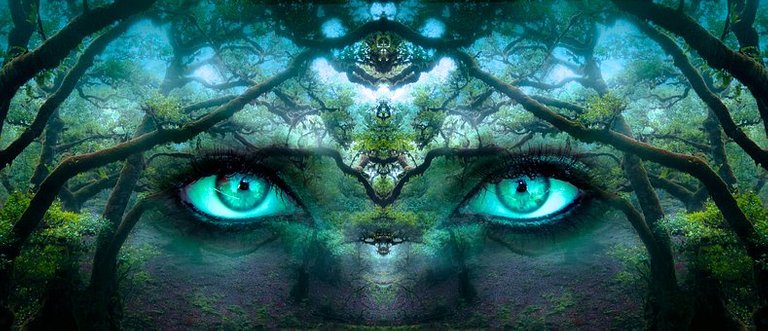 Fantasy, Eyes, Forest, Branches, Face