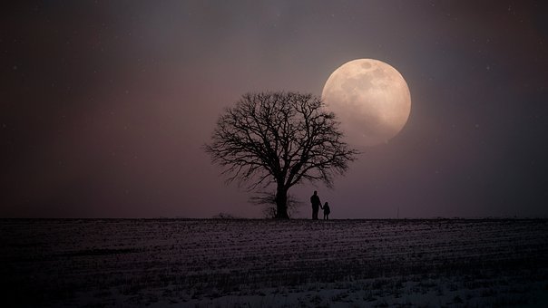 Winter, Wintry, Moon, Human