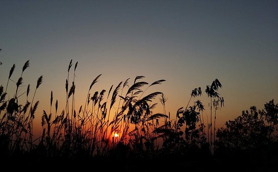 Sunset, Silhouette, Sun, Nature, Sky