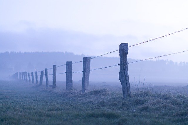 fence