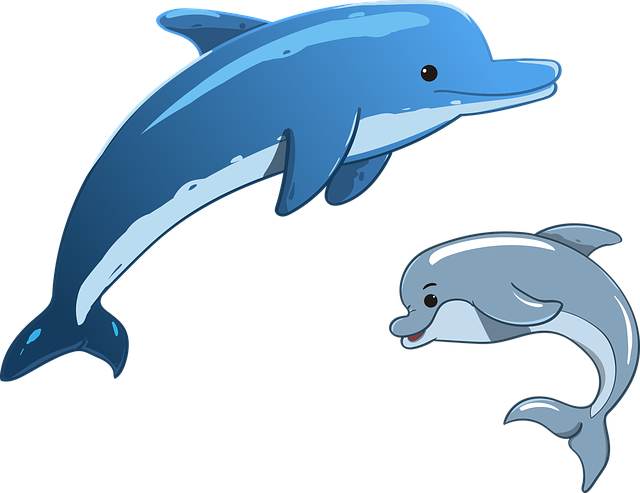 dolphins clipart