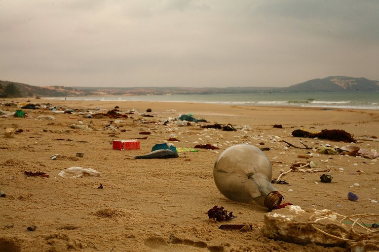 Beach trash