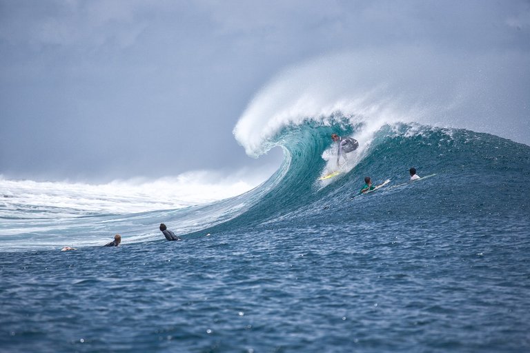 A group of surfers enjoying a wave.