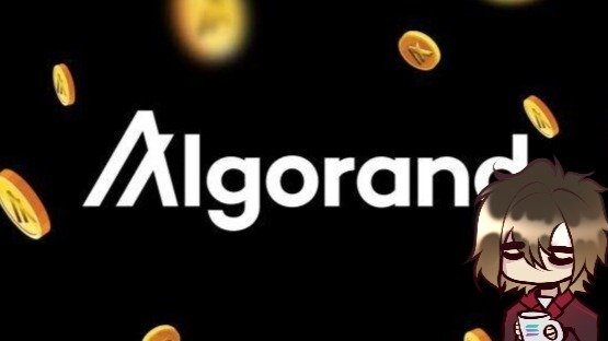 Algorand banner