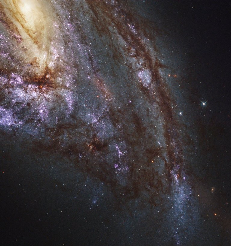 Galaktyka spiralna z poprzeczką Messier 66