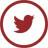 __site_twitter.png