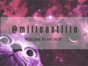 banner.jpg