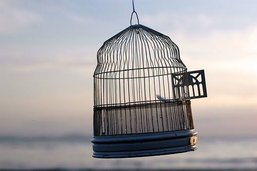 cage