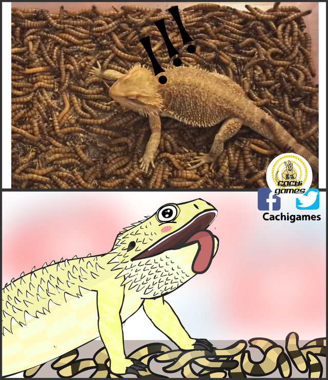 gecko ffeliz.png