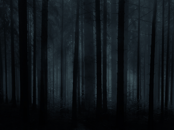 horror-forest-background-for-photoshop-thumb38 (1).jpg