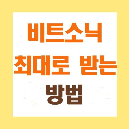 비트소닉1.PNG