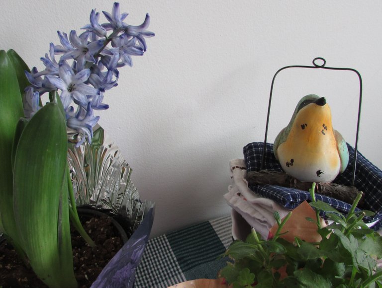 Spring in the Diningroom.jpg