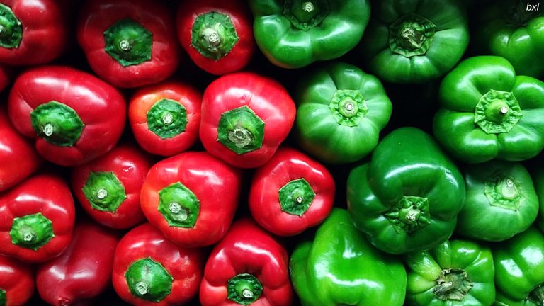 green and red peppers colorful photography bxlphabet.jpg