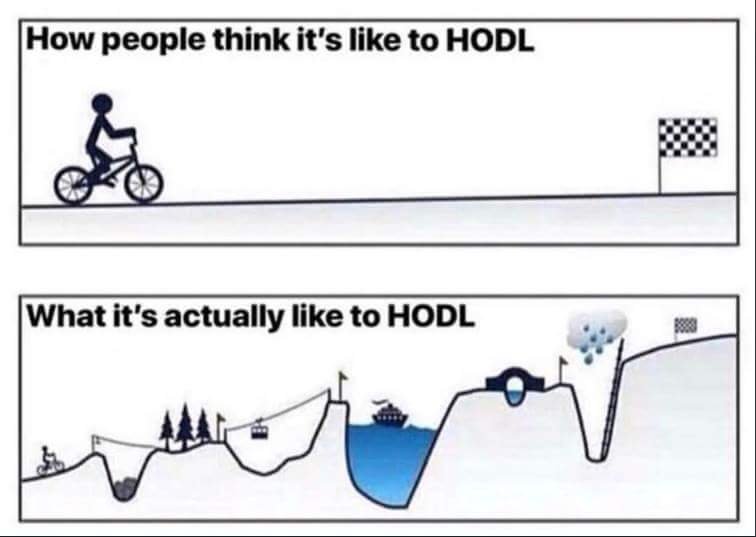 hodl.jpg