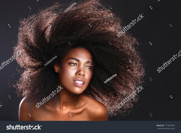 stock-photo-beautiful-stunning-portrait-of-an-african-american-black-woman-with-big-hair-177847955.jpg
