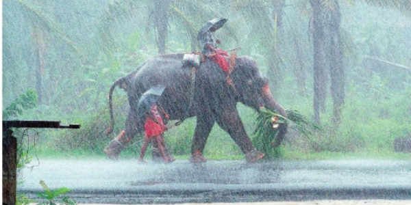 rain-in-kerala2.jpg