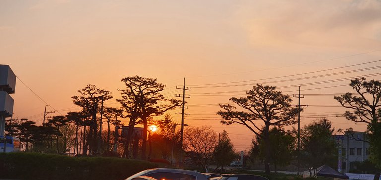20210420_184730.jpg