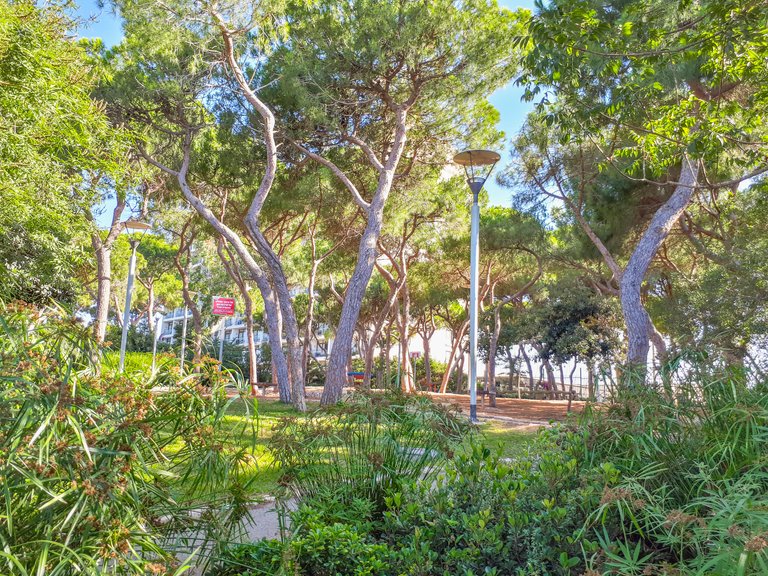 A seating areas over the Louis Promenade in Haifa