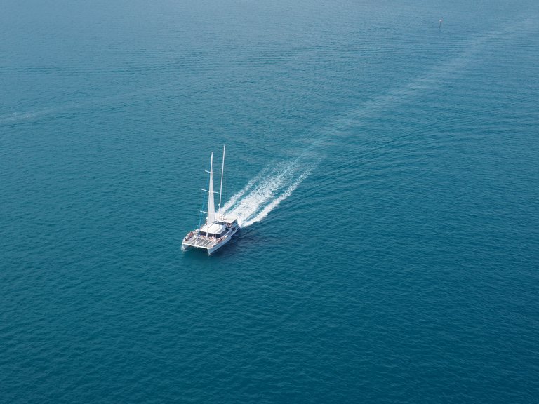 beach-bird-s-eye-view-blue-water-746683.jpg