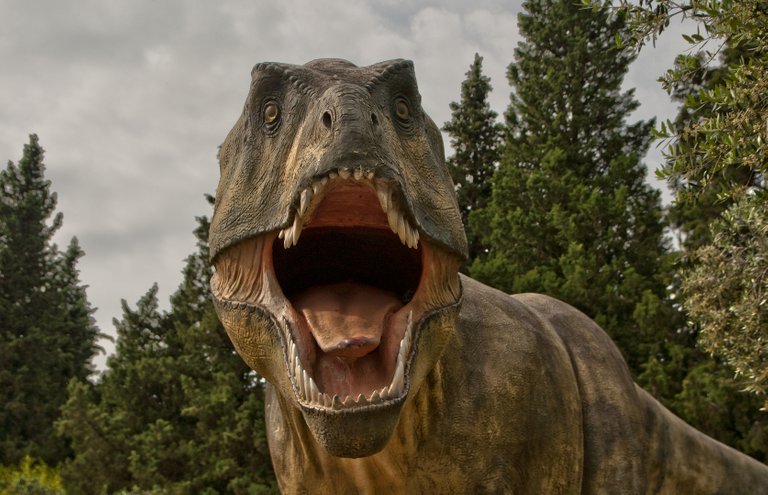 Tirannosauro rex.jpg