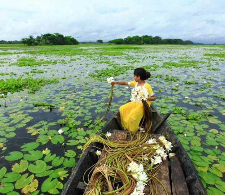 bangladesh-pond.jpg