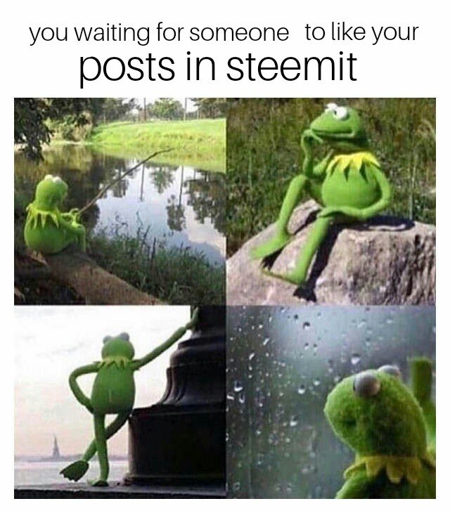 Waiting kermit 19022018204712.jpg