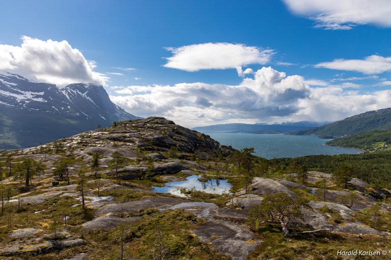 Olbogfjellet-8.jpg