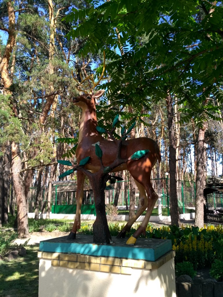 IMG_20180602_160857_HDR.jpg