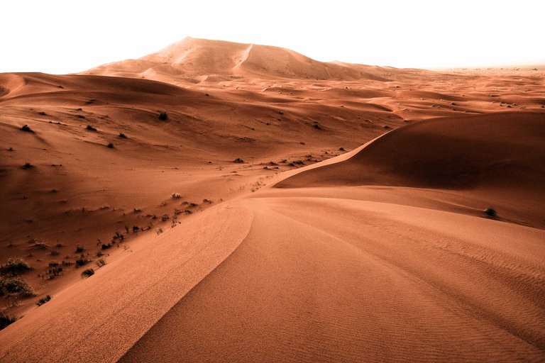 dunes enhanced resize.jpg