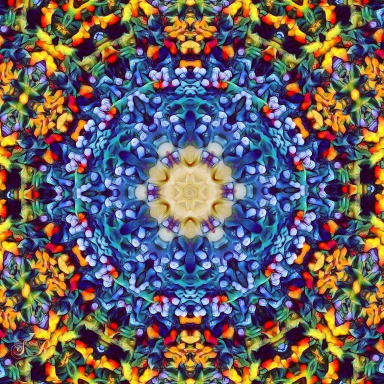 34a57cb6-8332-4831-b63e-5e57cc508f0f.jpg