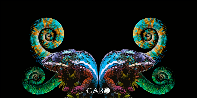 chameleon wallpaper.png