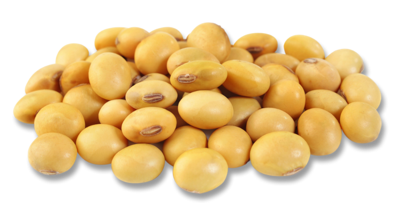 soybean_pile_COB.png