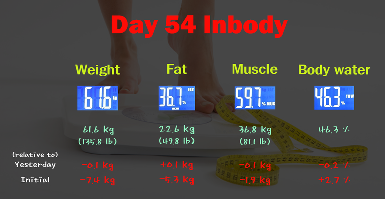 Day54 (inbody).png