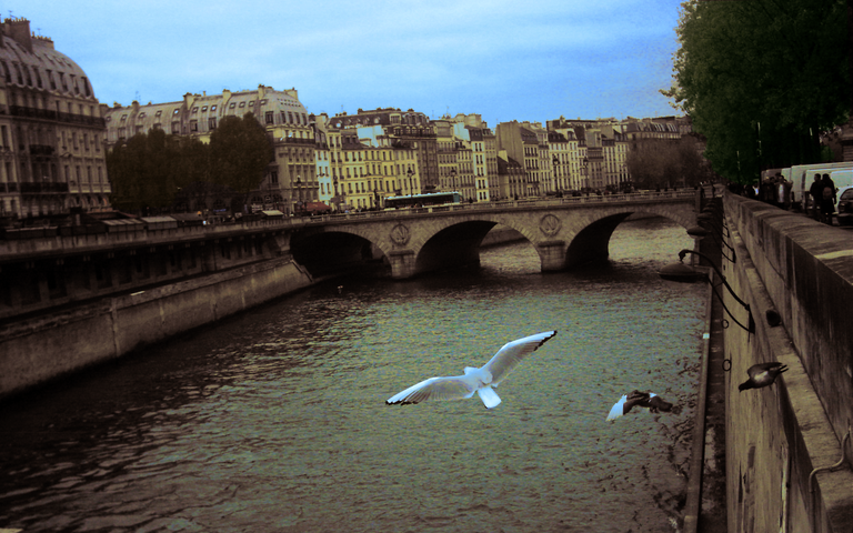 Paris Pont Saint-Michel 19201200 nologo.png