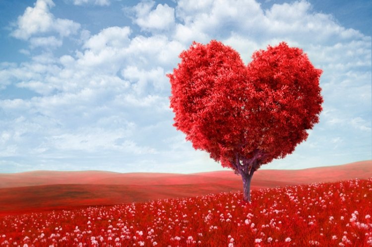 arbol-corazon-amor.jpg