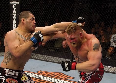 6c77246f4086887dc9591c56998c3f45--ufc-full-fights-brock-lesnar-ufc.jpg