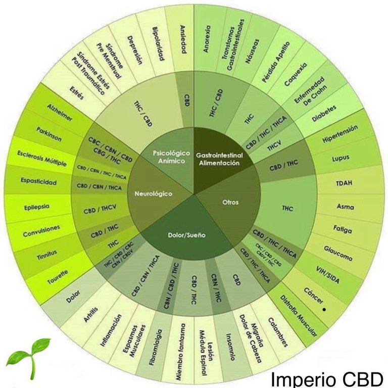 Imperio CBD perfil.jpg